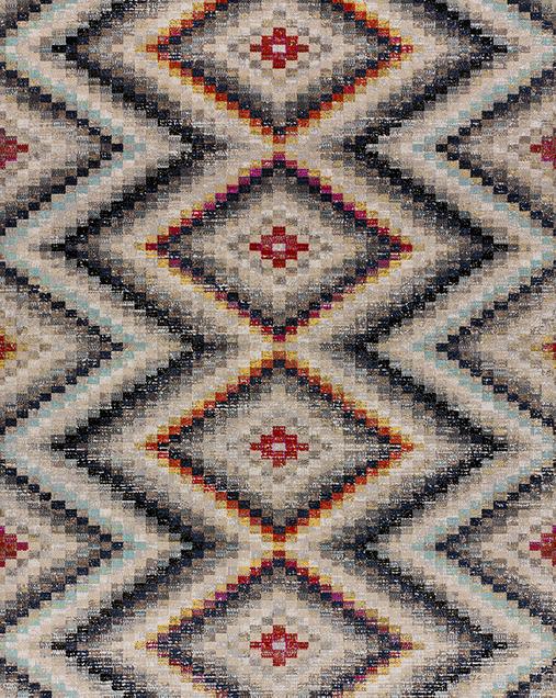 Ethnic Indoor-Outdoor rug Sassy 7171 21 Multi